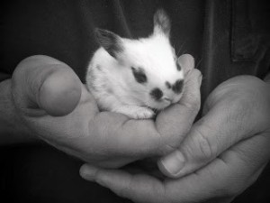 kit in Daddy's hands