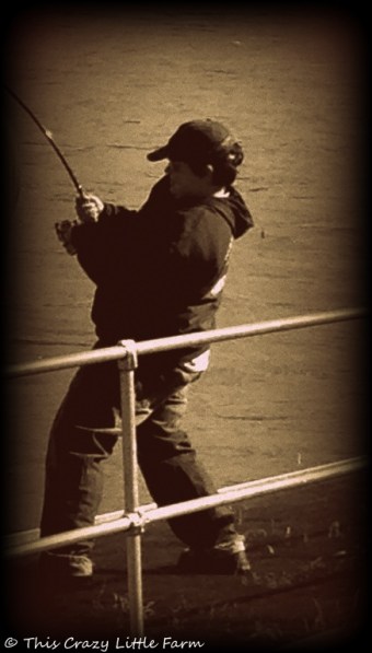 Iphone photos Summer 2013 235