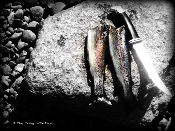 Iphone photos Summer 2013 321