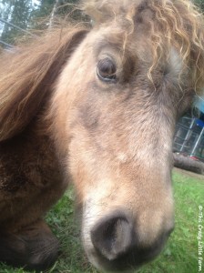 Iphone photos Summer 2013 849