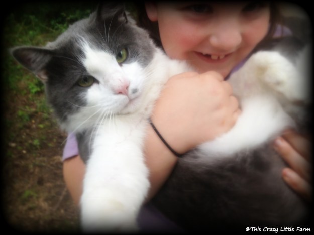 Iphone photos Summer 2013 875