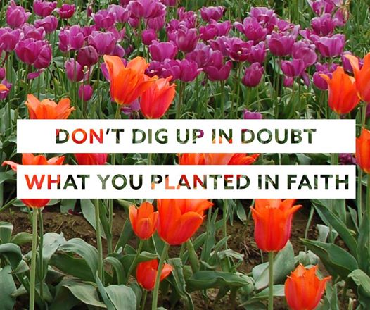 10537388_10152259917382499_6978900735322285322_n