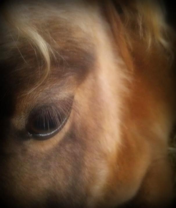 548172_3867565128535_1460865494_n