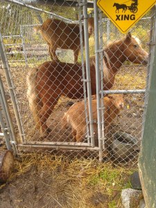 579544_3873224470015_144344915_n