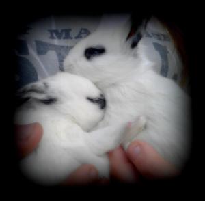 60115_3881387874095_374619905_n