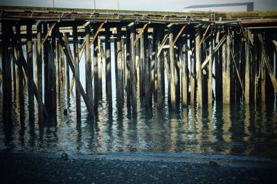 10628580_10204073167930404_6722128503545532099_n