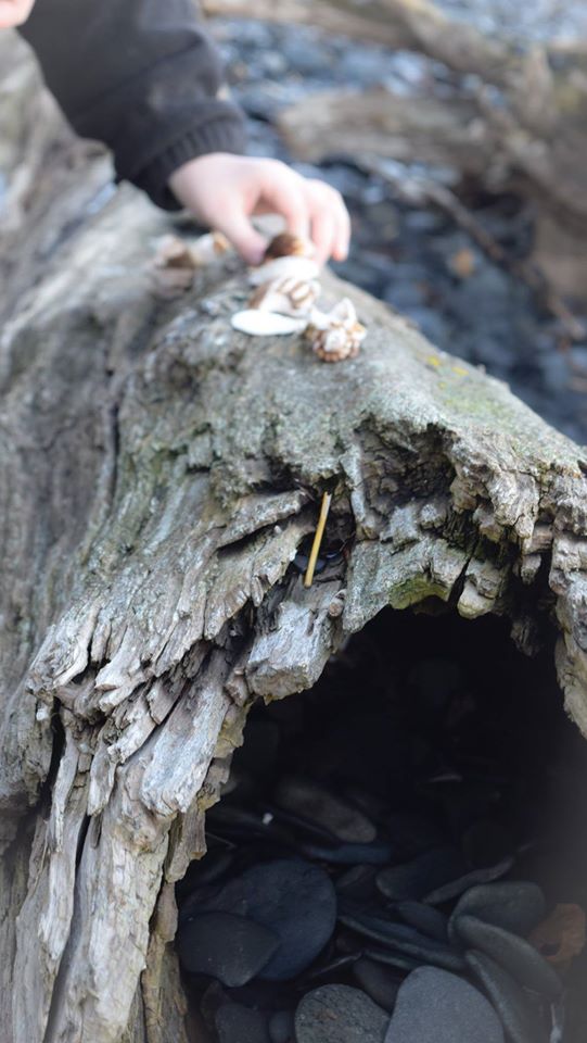 10854951_10204073167170385_1914555893414130191_o