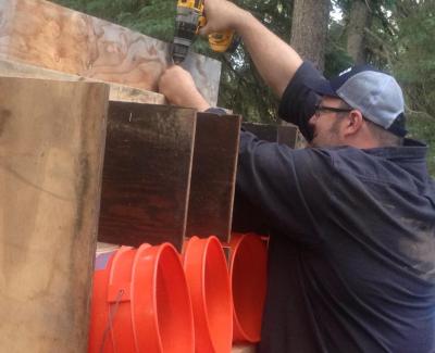 1170877_10200719855619692_506173140_n