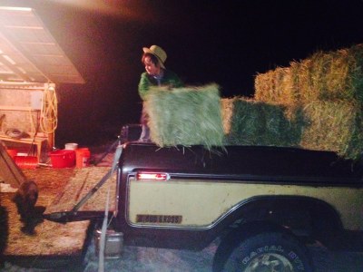 1922236_10204098340759709_3917158836926982840_n