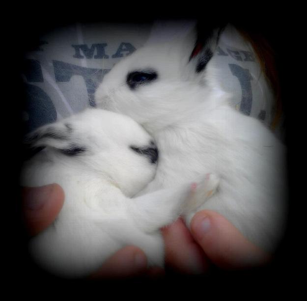 60115_3881387874095_374619905_n