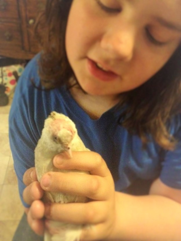 11402989_10205035064857226_1931441962822300934_n