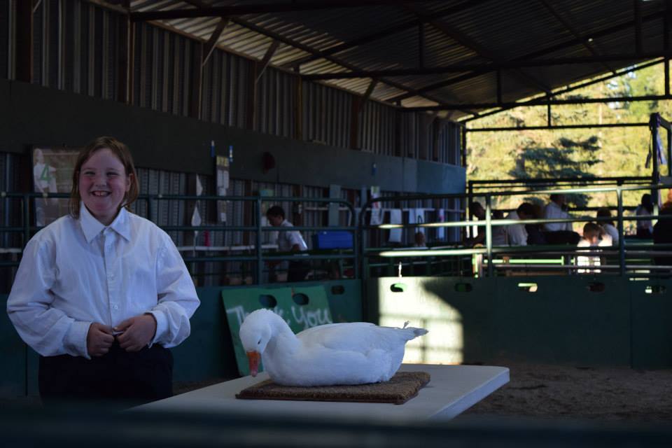 11885054_10205306020990960_5568623178345278937_n