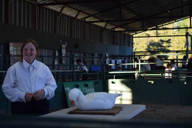 11885054_10205306020990960_5568623178345278937_n