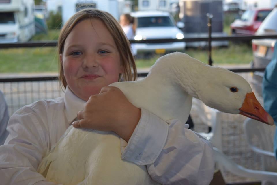 11951299_10205306004550549_8794669683384105070_n