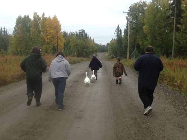 11988687_10205395143258961_5599298258878148625_n