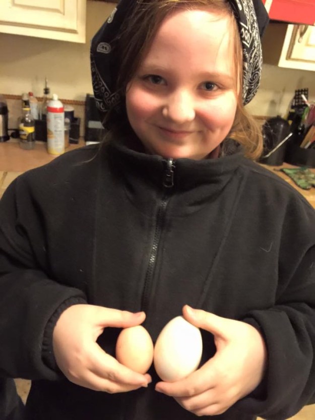 12573904_204686136550294_1159094675527945614_n