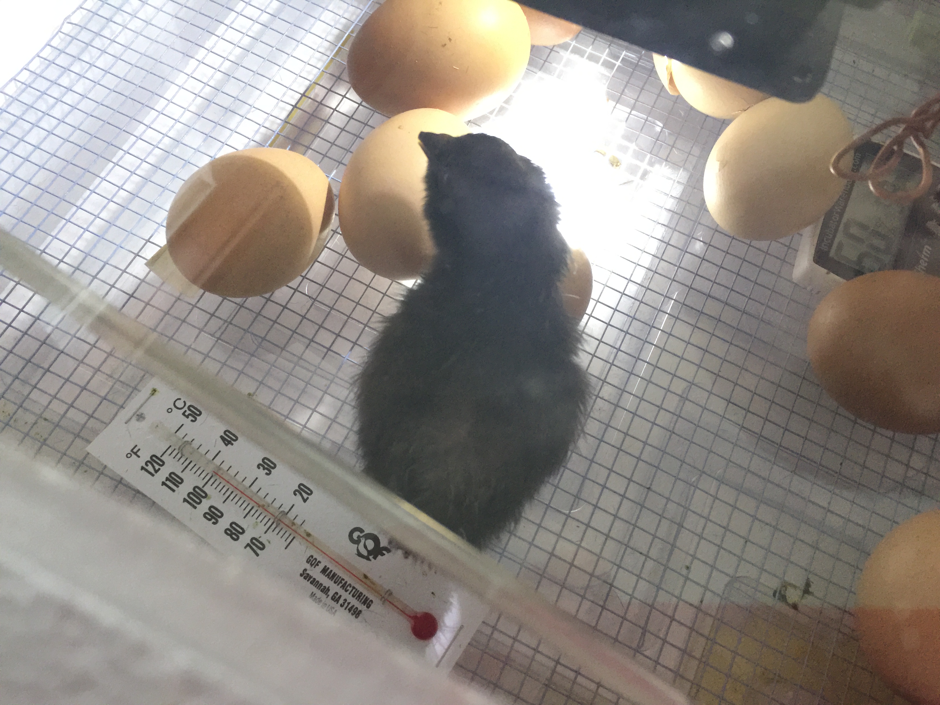 FEBRUARY 2016 675.JPG