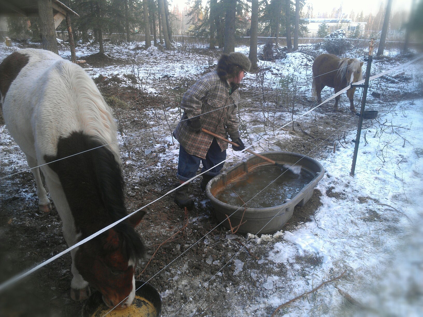 135506_3978525142466_1045218005_o