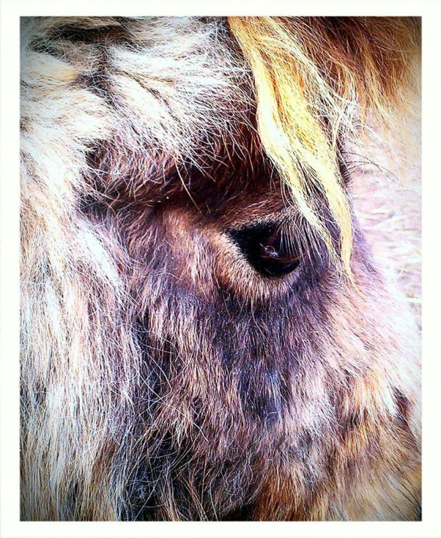 980056_10200163899041125_889246772_o