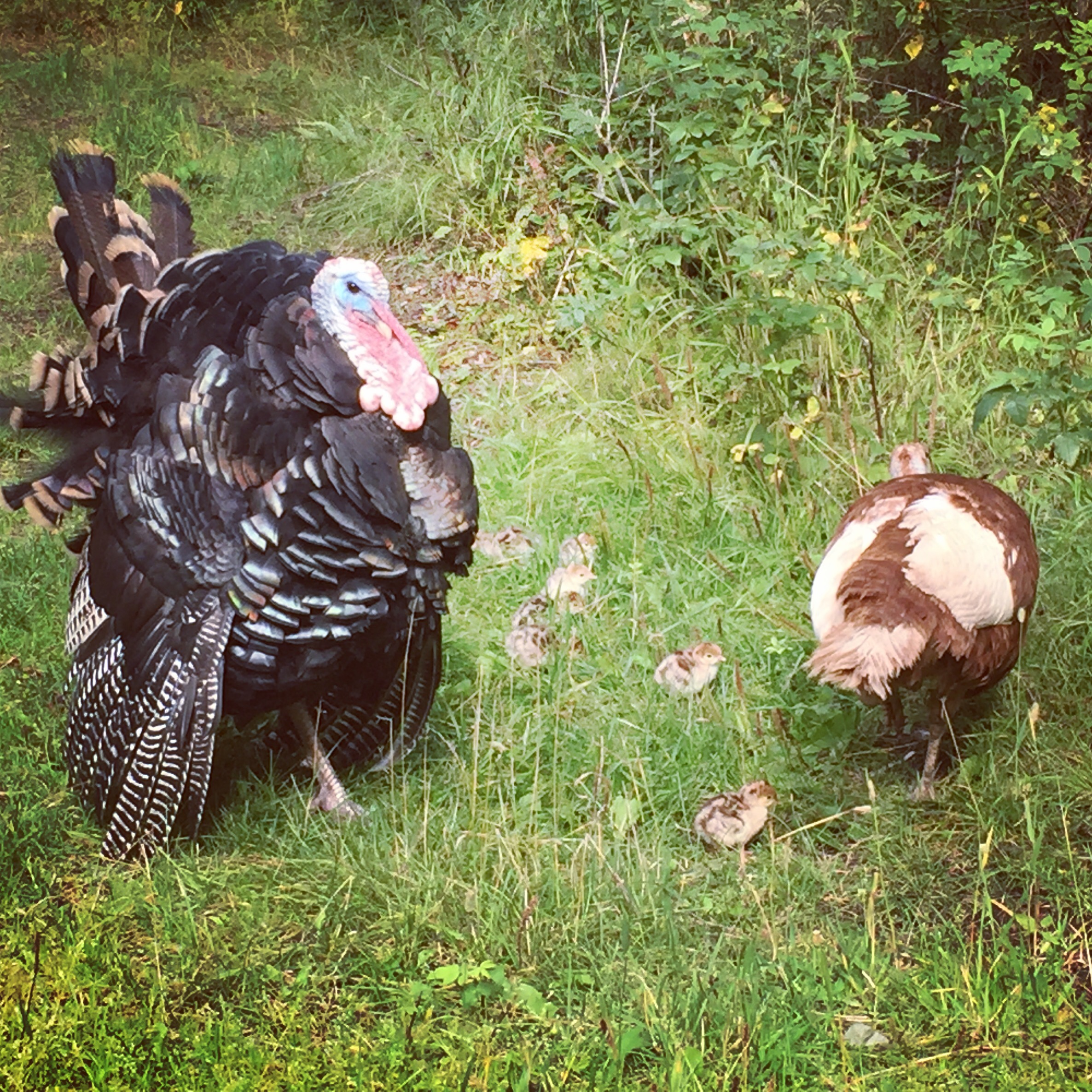 SEPTEMBER 2016 2148.JPG