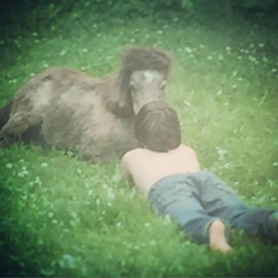 13512074_10207220730697506_1974492824310303875_n