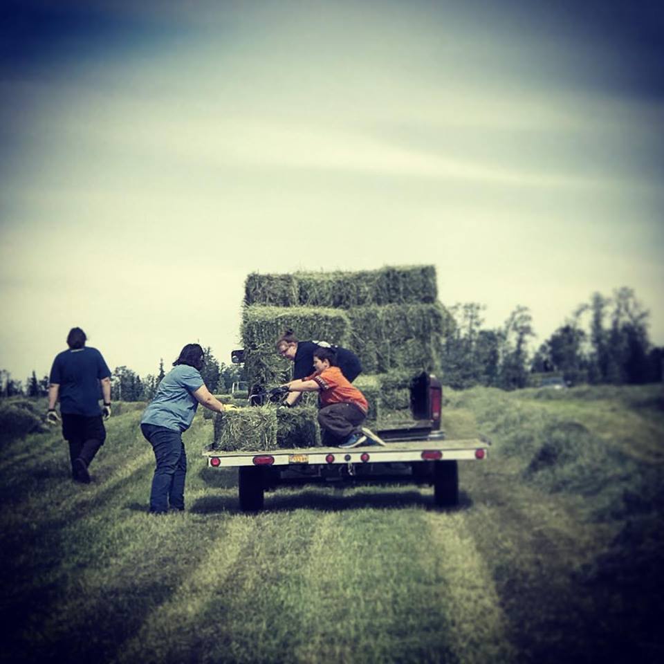 20374787_10210456161301249_3000165731657732669_n