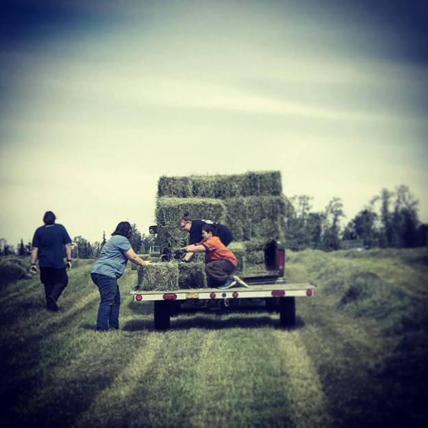 20374787_10210456161301249_3000165731657732669_n