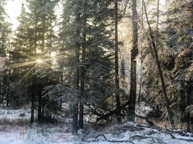 26114709_10211560285543665_3508250326516157591_o