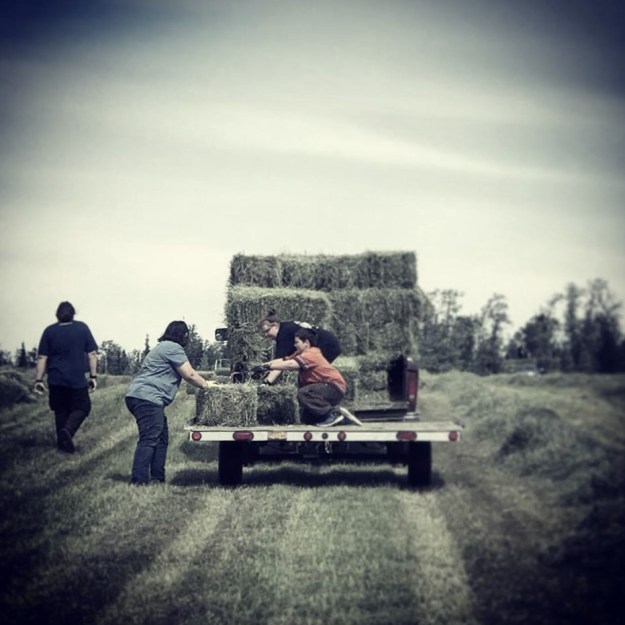 20374787_10210456161301249_3000165731657732669_n