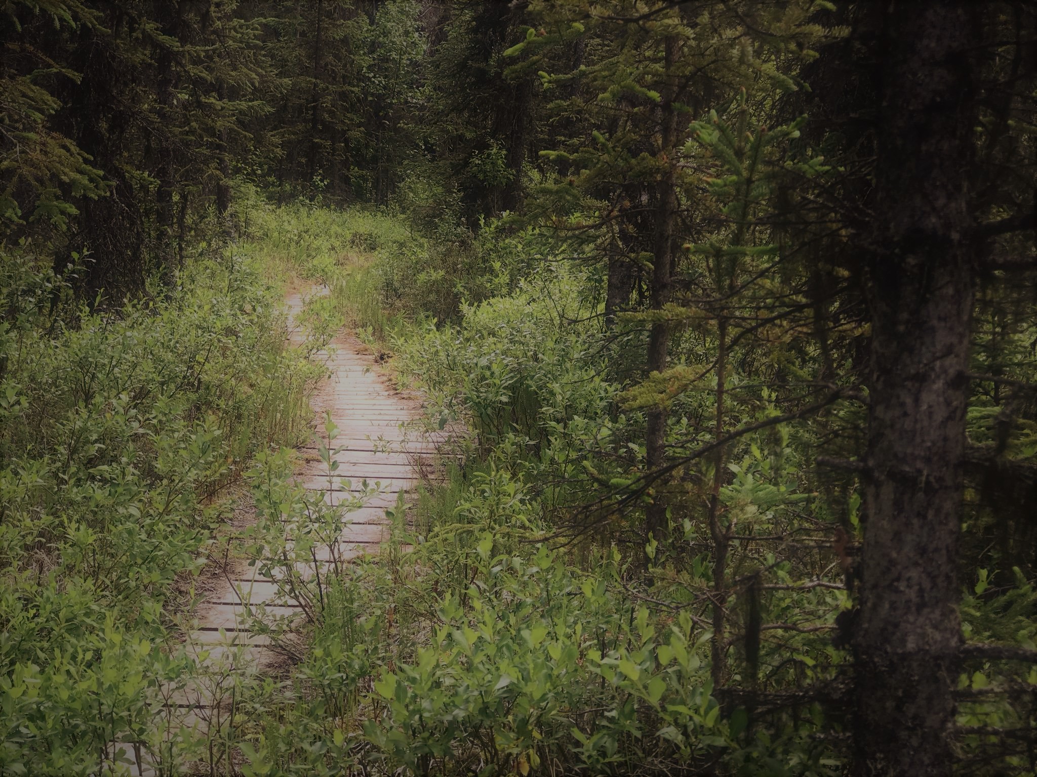 36231131_10212853985285350_7424114544689020928_o