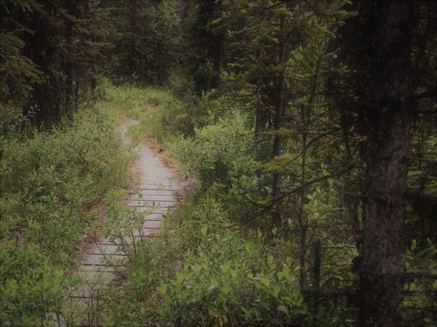 36231131_10212853985285350_7424114544689020928_o